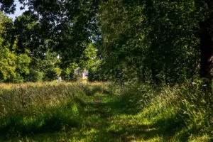 Créer des zones de tontes différenciées dans les espaces verts, par Yvonnick Boutier pour la SAUR