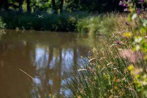 Gestion des espaces verts pour la SAUR par Yvonnick Boutier, Côtes d'Armor